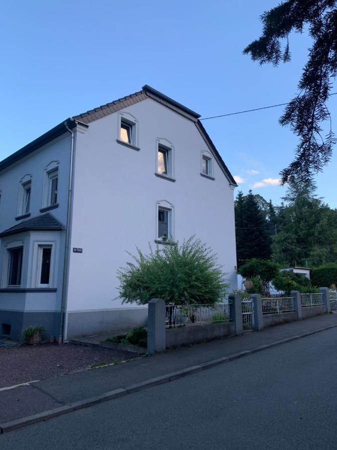 Sascha'S Home 萨尔路易斯 外观 照片