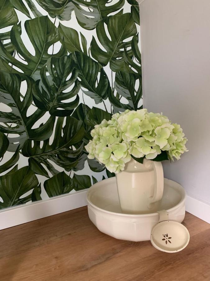 Sascha'S Home 萨尔路易斯 外观 照片