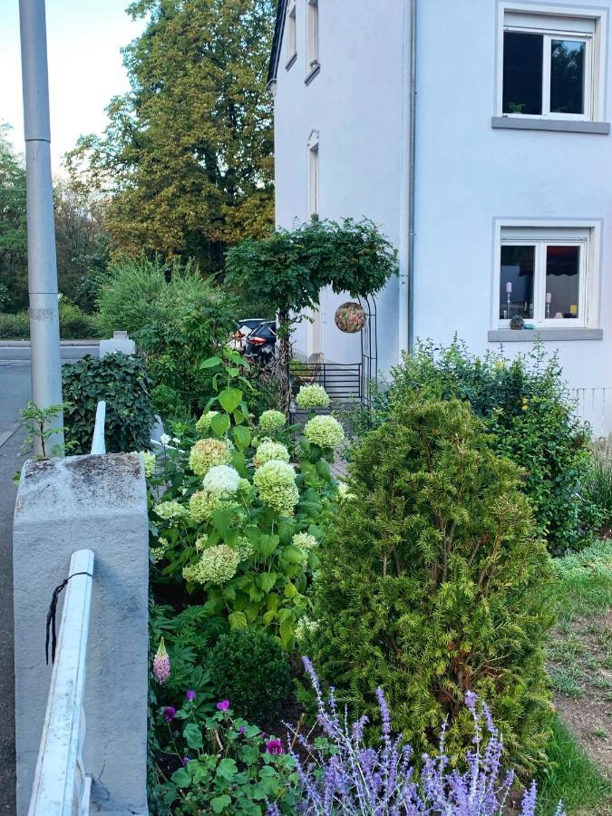 Sascha'S Home 萨尔路易斯 外观 照片