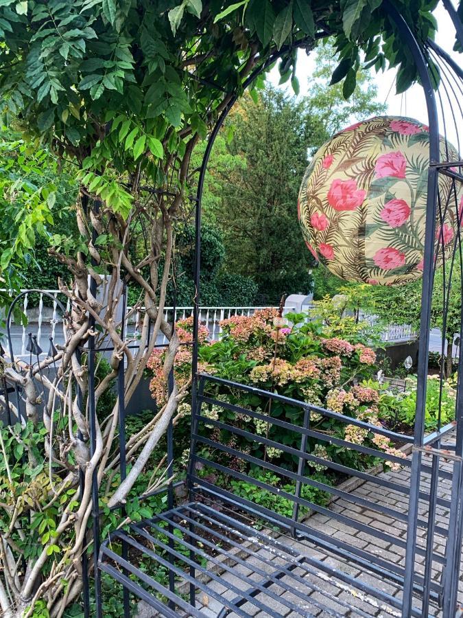 Sascha'S Home 萨尔路易斯 外观 照片